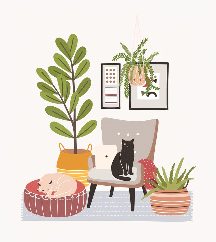 Home Decor